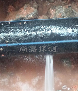 谷城消防管道漏点探测