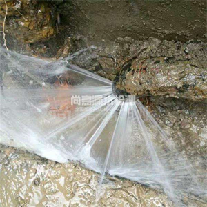 谷城自来水管道漏点检测